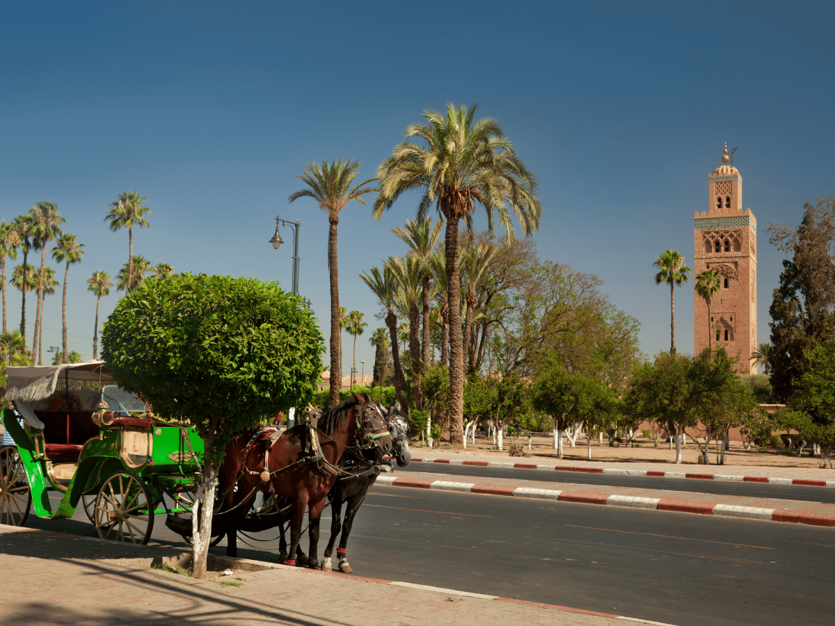 EspirituMarruecos (136)