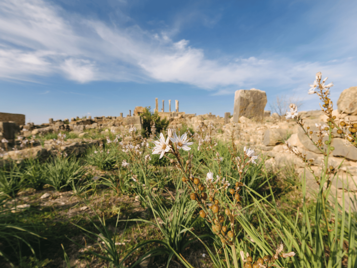 EspirituMarruecos (26)
