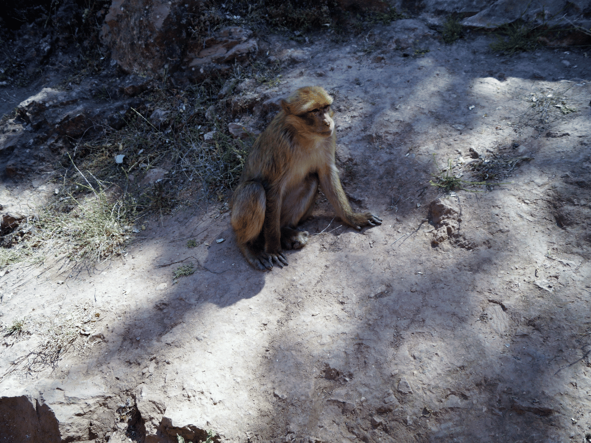 EspirituMarruecos (81)